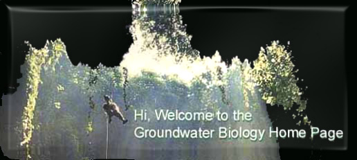 The Groundwater Biology Web Site