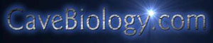 The  Cave Biology Web Site by T. Iliffe
