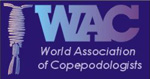 This web site provides links to information about the biology, ecology and systematics of copepods. It is a resource that scientists, students and teachers at all levels, and the general public, can use to find out more about this ubiquitous group of crustaceans.   
