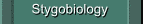 Stygobiology