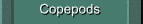 Copepods